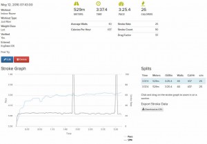 1st-stroke-graph-500m.jpg